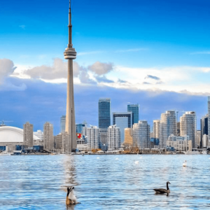 Consensus Toronto